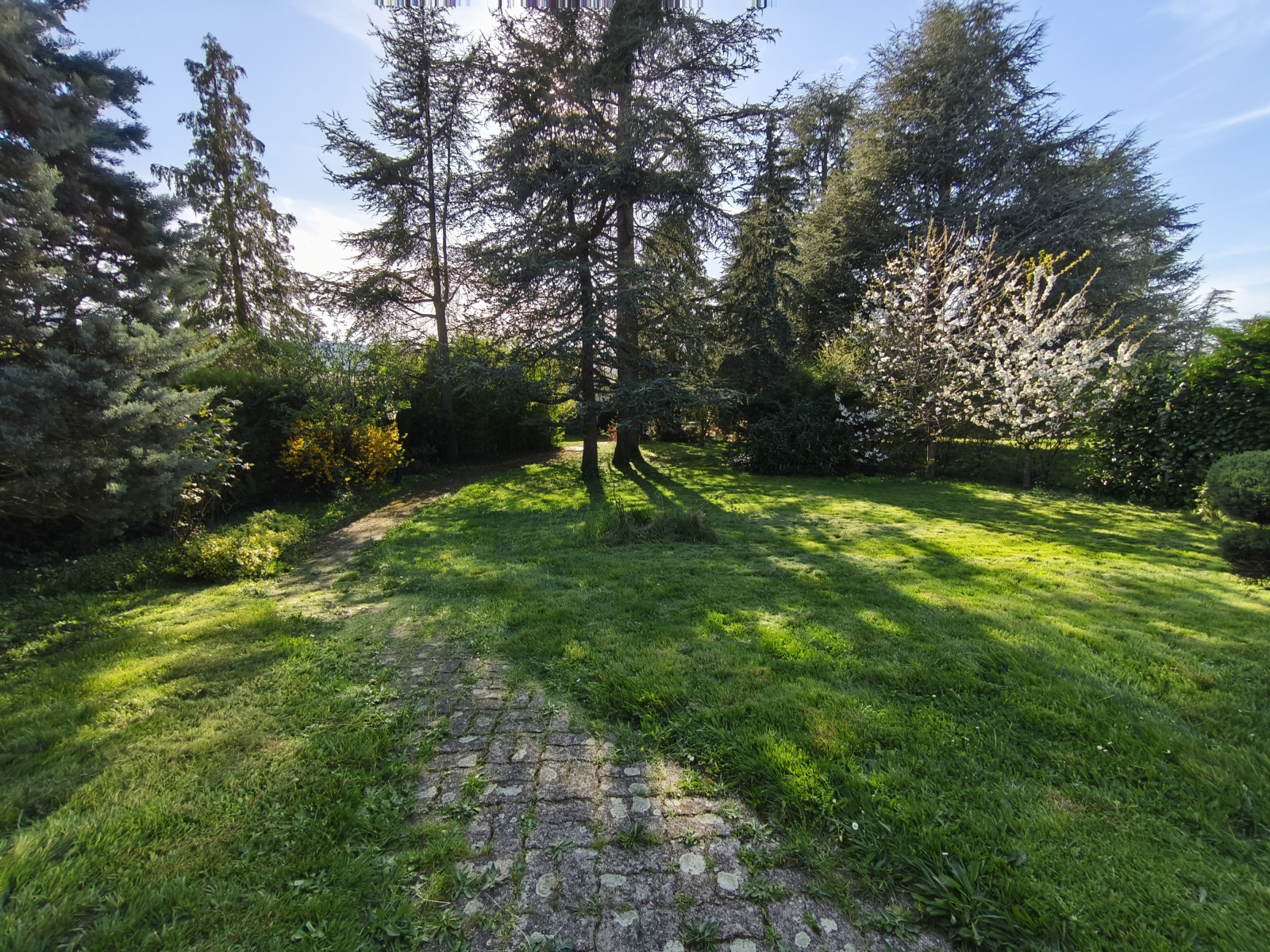 Image_4, Maison, Saint-Priest-en-Jarez, ref :2408