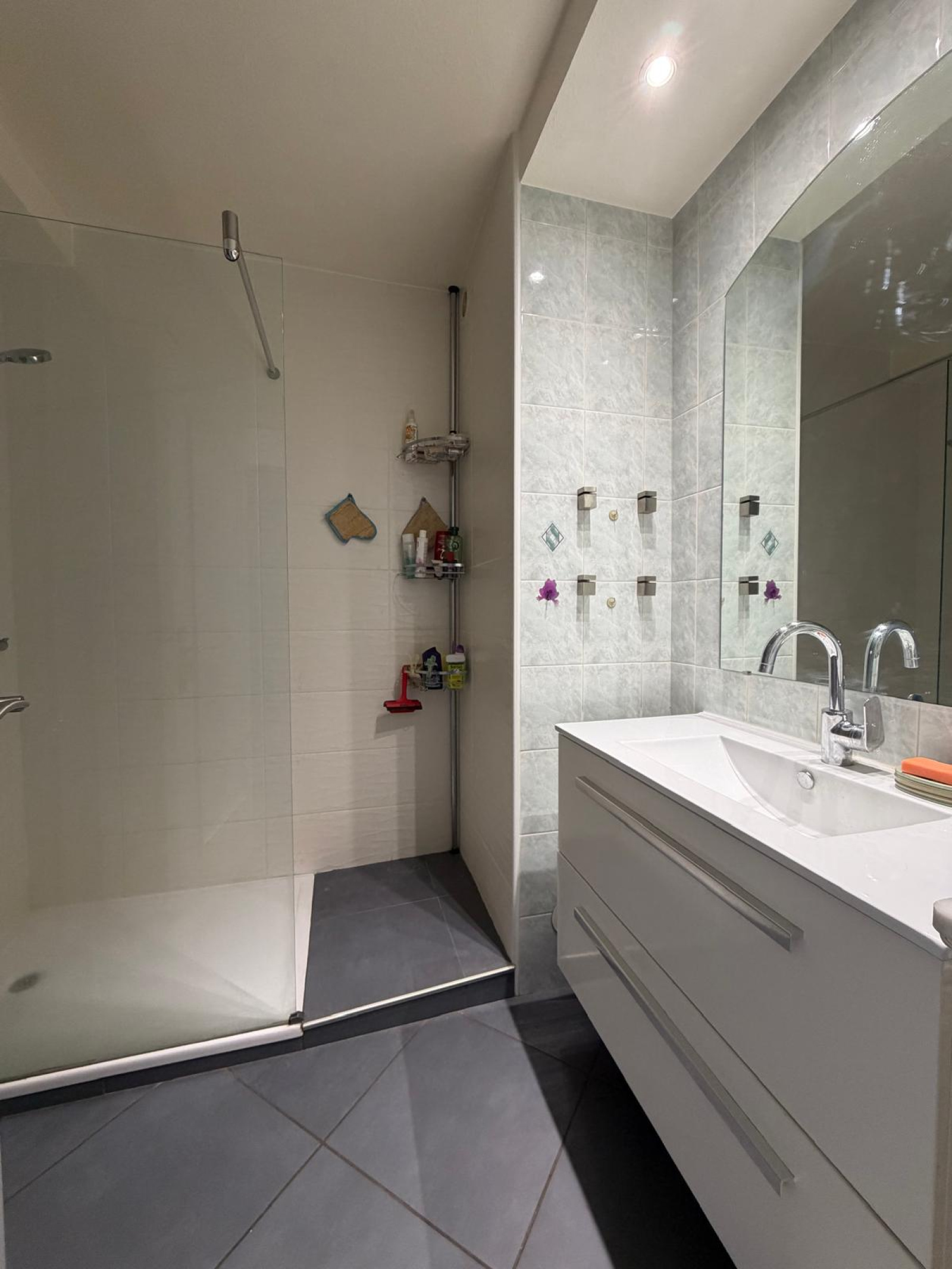 Image_5, Appartement, Saint-Étienne, ref :2424