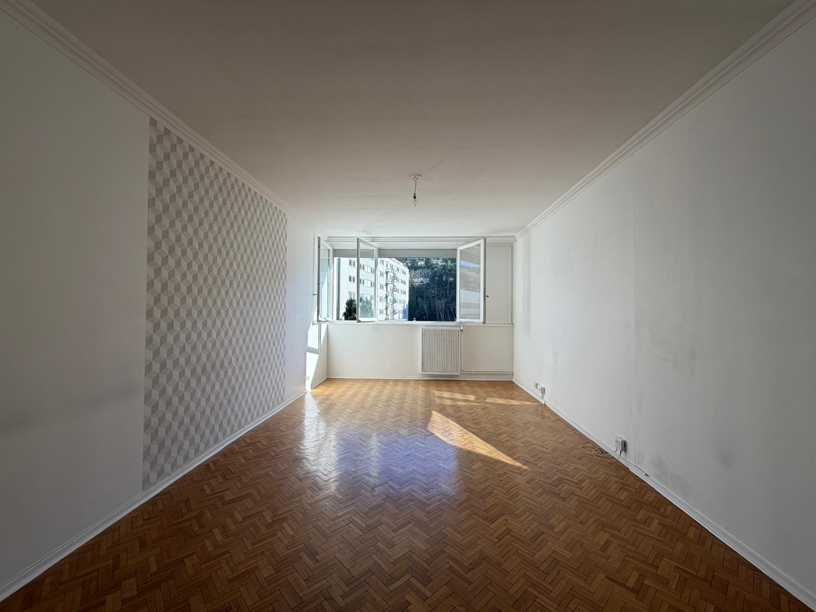 Image_1, Appartement, Saint-Étienne, ref :2413