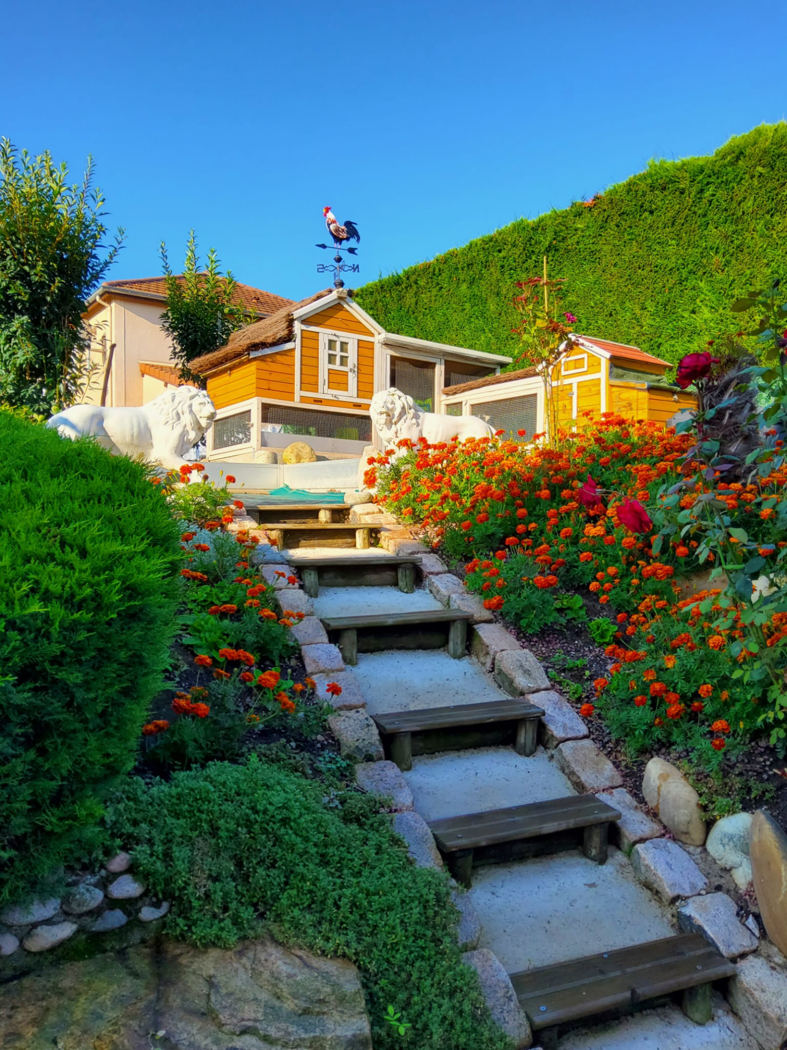 Image_8, Maison, Roche-la-Molière, ref :2331